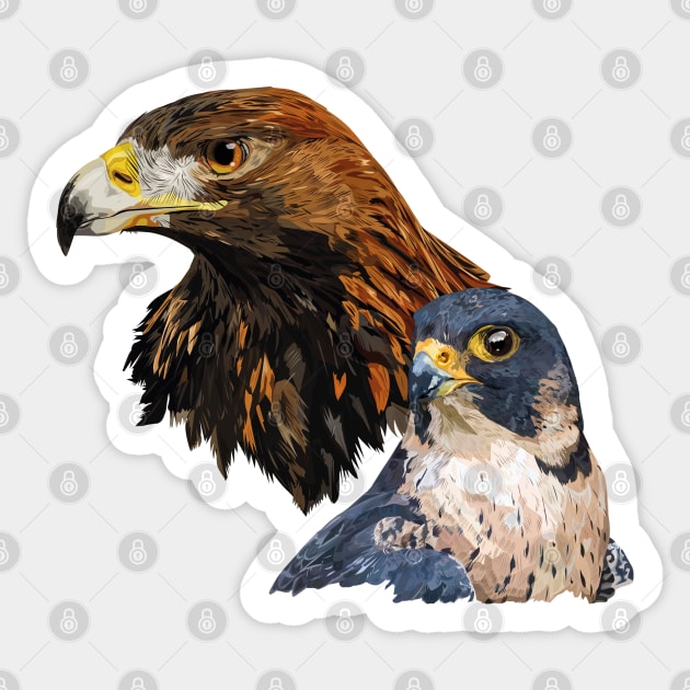 Peregrine Falcon and Sticker by obscurite